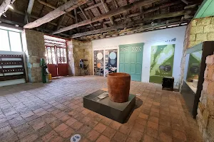 Museo de historia natural de la Sabana image
