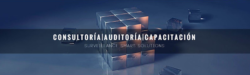 Surveillance Smart Solutions - s3group.