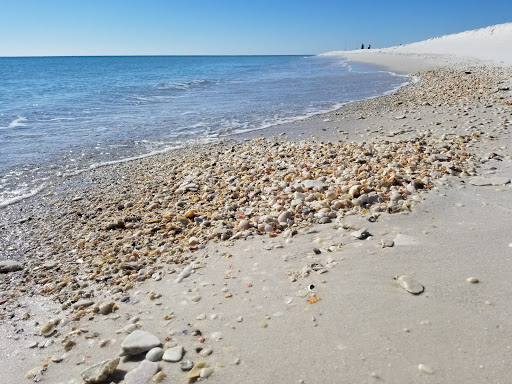 National Park «Fort Pickens», reviews and photos, 1400 Fort Pickens Rd, Pensacola Beach, FL 32561, USA