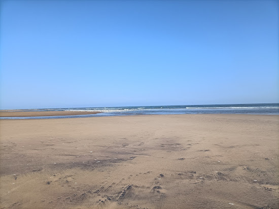 PD Palem Beach