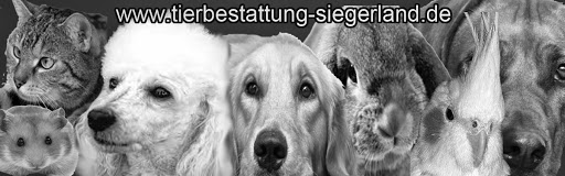 Tierbestattung Siegerland unter Siegen, Nordrhein-Westfalen