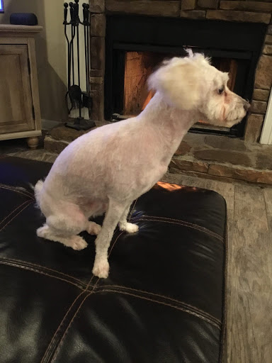 Pet Supply Store «PetSmart», reviews and photos, 4794 Jimmy Lee Smith Pkwy #108, Hiram, GA 30141, USA