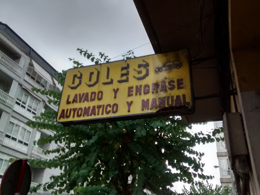 Coles en Ourense, Ourense