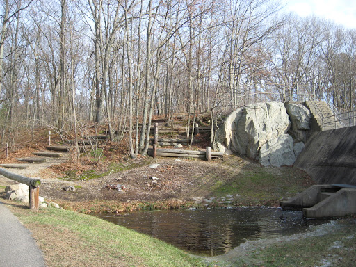 Park «Pond Meadow Park», reviews and photos, 470 Liberty St, Braintree, MA 02184, USA