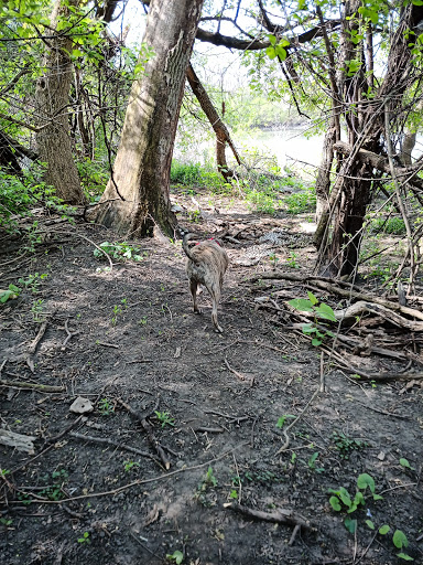 Park «Gregory Island Dog Park», reviews and photos, 100-140 E Indian Trail, North Aurora, IL 60542, USA