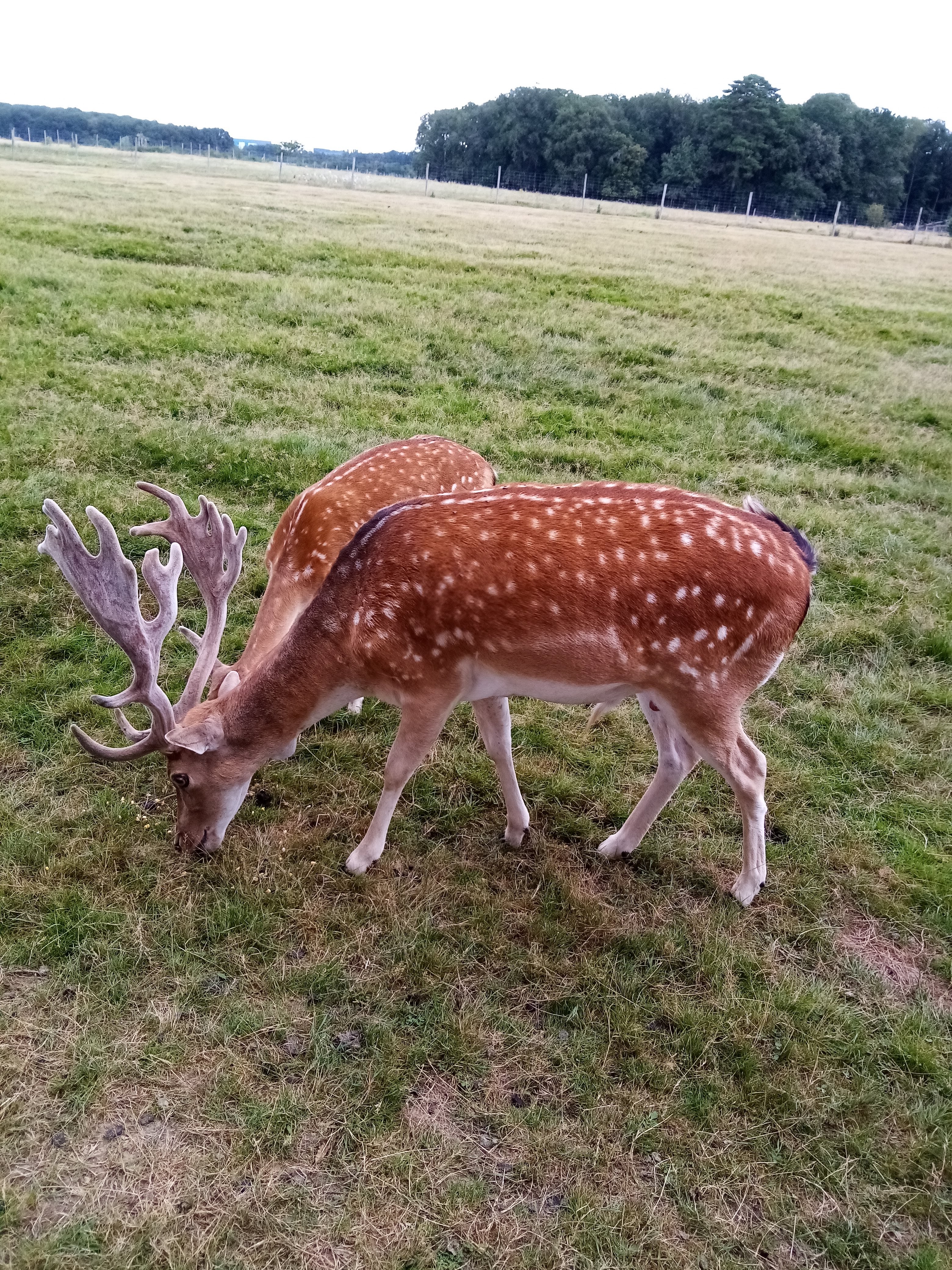 Photo n° 25 de l'avis de Aurelie.u fait le 17/08/2021 à 19:49