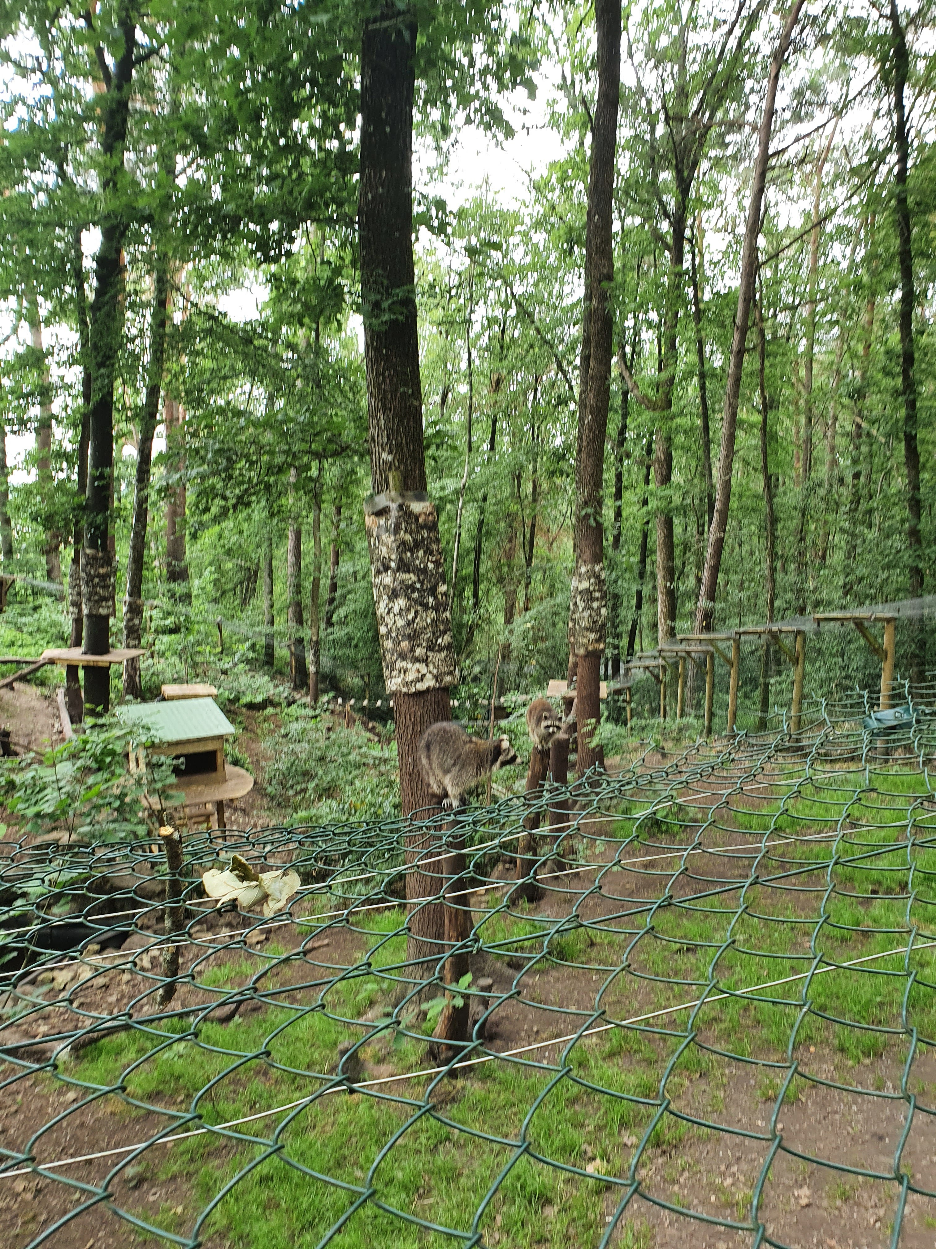 Photo n° 2 de l'avis de Carla.e fait le 09/04/2022 à 08:26