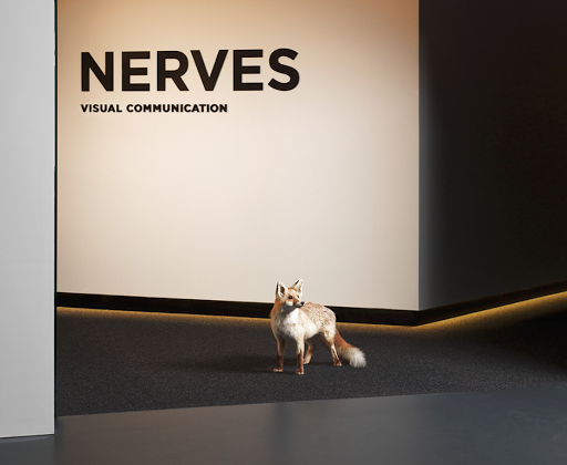 Nerves Agency Zurich / Strategy, Design, Branding, Digital