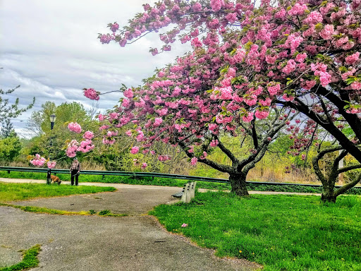 Park «Marine Park», reviews and photos, Fillmore Ave, Brooklyn, NY Brooklyn, USA