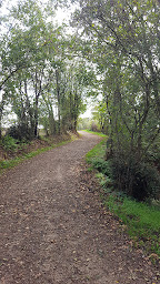Photo n°19 de Fontaine Marie Catherine Isabelle à Condé-sur-Vire ()