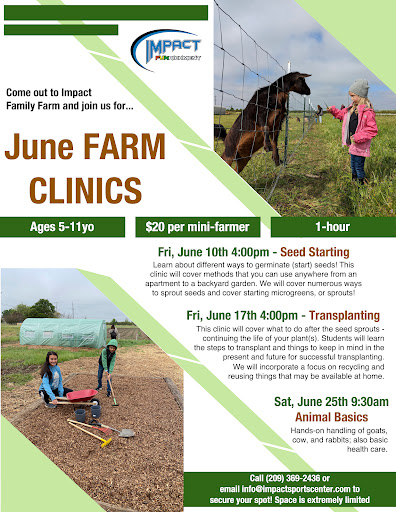 Gymnastics Center «Impact Sports Center», reviews and photos, 1110 W Kettleman Ln, Lodi, CA 95240, USA