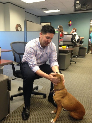 Health Insurance Agency «GoMedigap», reviews and photos