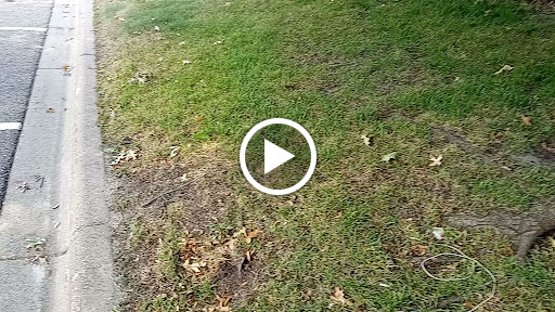 Wedding Venue «Vadnais Heights Commons», reviews and photos, 655 County Rd F E, Vadnais Heights, MN 55127, USA