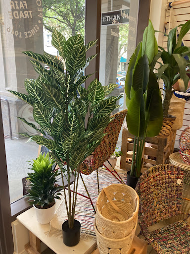 Gift Shop «Ten Thousand Villages Winter Park», reviews and photos, 329 N Park Ave #102, Winter Park, FL 32789, USA