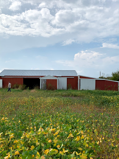 Mosque «Medina Community Center», reviews and photos, 3200 Mill St, Hamel, MN 55340, USA