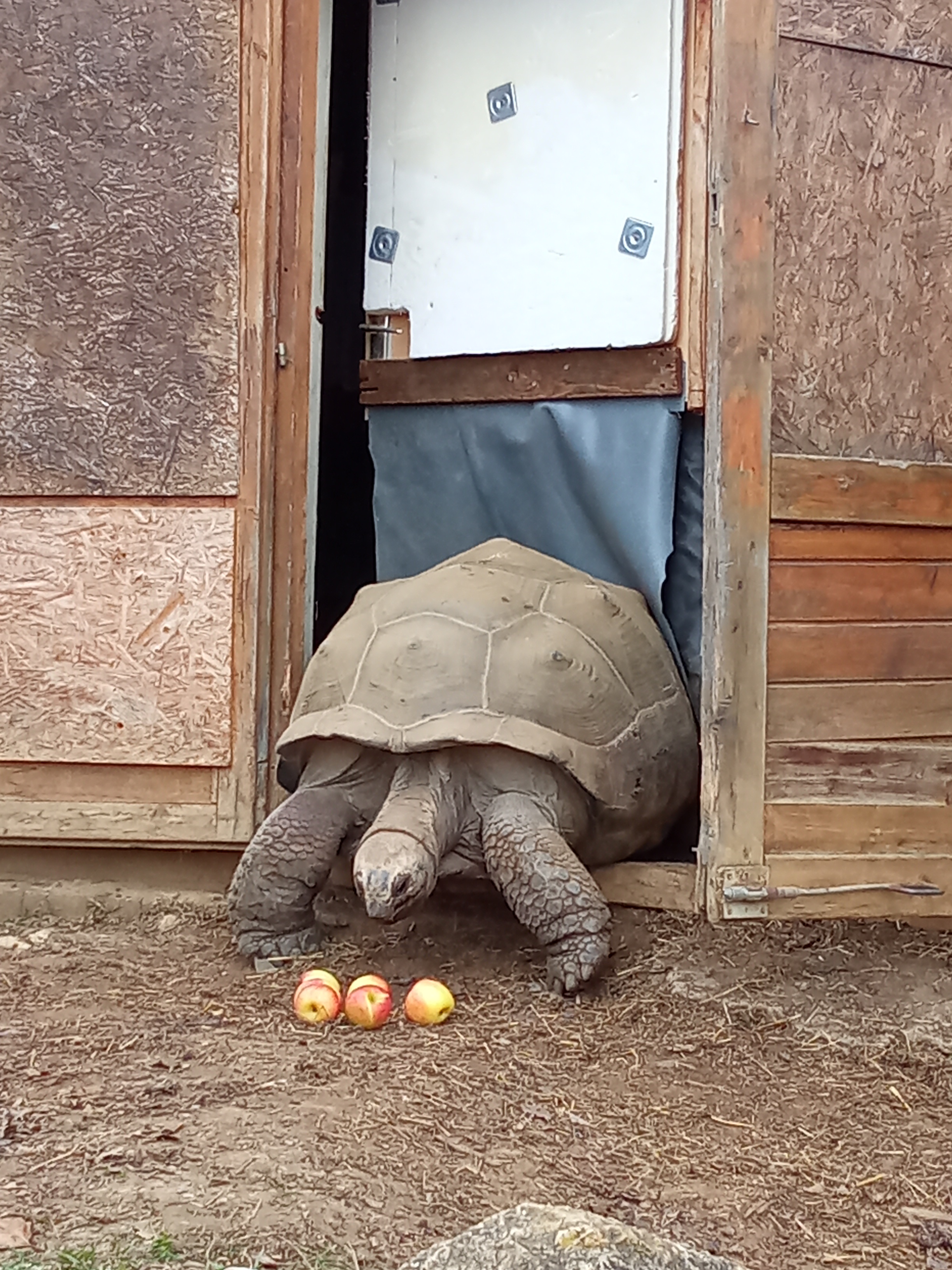 Photo n° 1 de l'avis de danielle.e fait le 30/12/2023 à 14:42