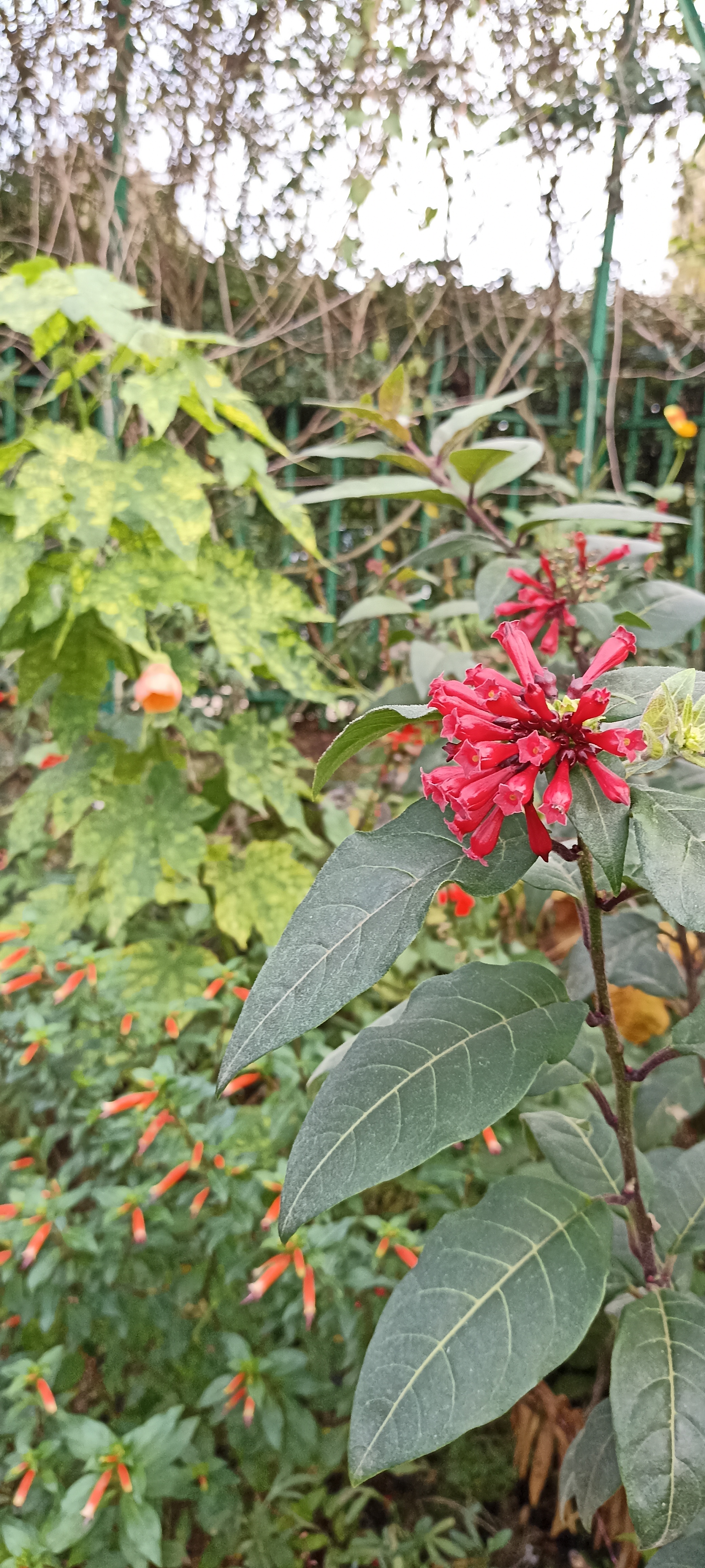 Photo n° 12 de l'avis de Verginia.H fait le 01/11/2022 à 18:08