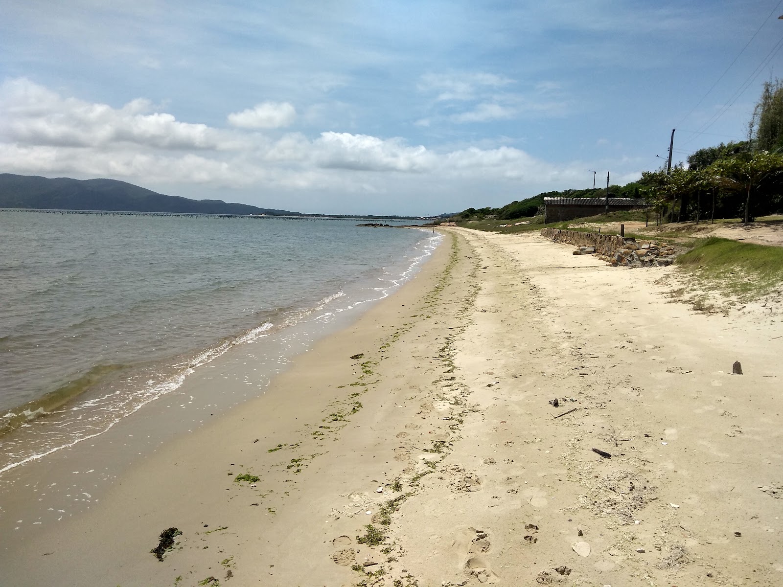 Praia de Aracatuba'in fotoğrafı uçurumlarla desteklenmiş