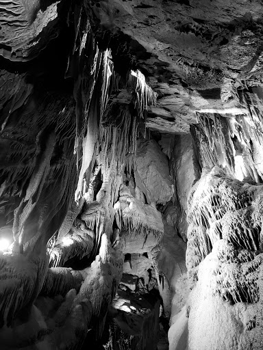 Tourist Attraction «Shenandoah Caverns», reviews and photos, 261 Caverns Rd, Quicksburg, VA 22847, USA