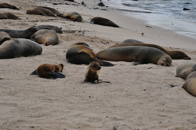 Puerto Baquerizo Moreno, Ecuador