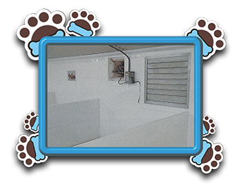 Pet Store «AA Ridgewood Kennels II», reviews and photos, 5401 Lincoln Hwy, Gap, PA 17527, USA