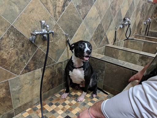 Pet Supply Store «Pet Valu», reviews and photos, 38661 Sussex Hwy, Delmar, DE 19940, USA