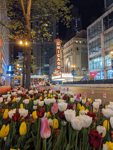 Performing Arts Theater «The Chicago Theatre», reviews and photos, 175 N State St, Chicago, IL 60601, USA