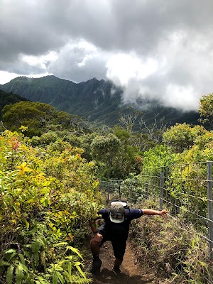 Kaala Hiking Trail - photo 20