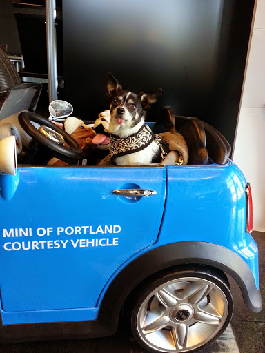 Used Car Dealer «MINI of Portland», reviews and photos, 9134 SW Canyon Rd, Portland, OR 97225, USA