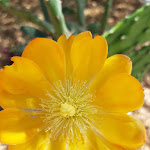 Photo n°4 de l'avis de Lina.a fait le 04/07/2019 à 13:04 sur le  Villaggio Borgo degli Ulivi à Sellia Marina