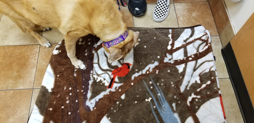 Pet Supply Store «PetSmart», reviews and photos, 8500 N Evanston Ave, Kansas City, MO 64157, USA