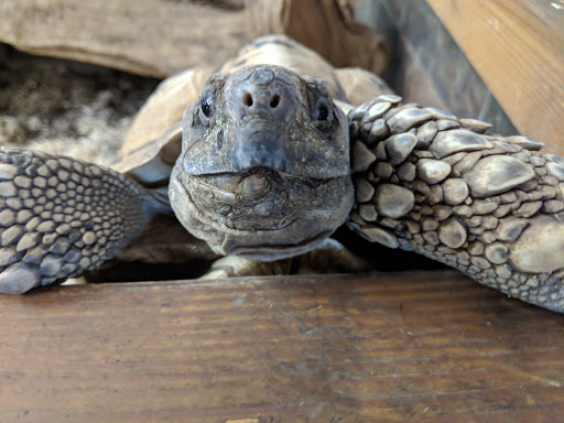 Zoo «Reptile Zoo», reviews and photos, 22715 US-2, Monroe, WA 98272, USA