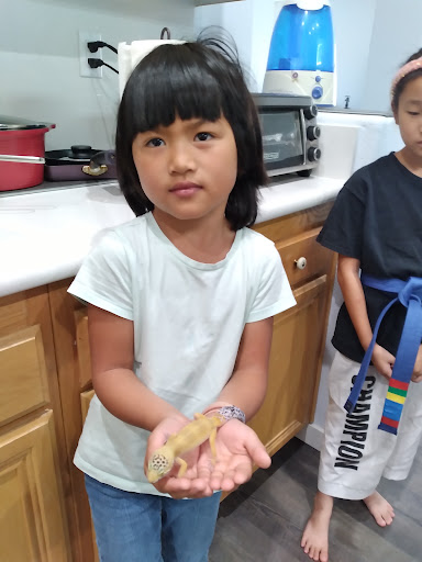 Pet Supply Store «PetSmart», reviews and photos, 12483 Limonite Ave, Mira Loma, CA 91752, USA