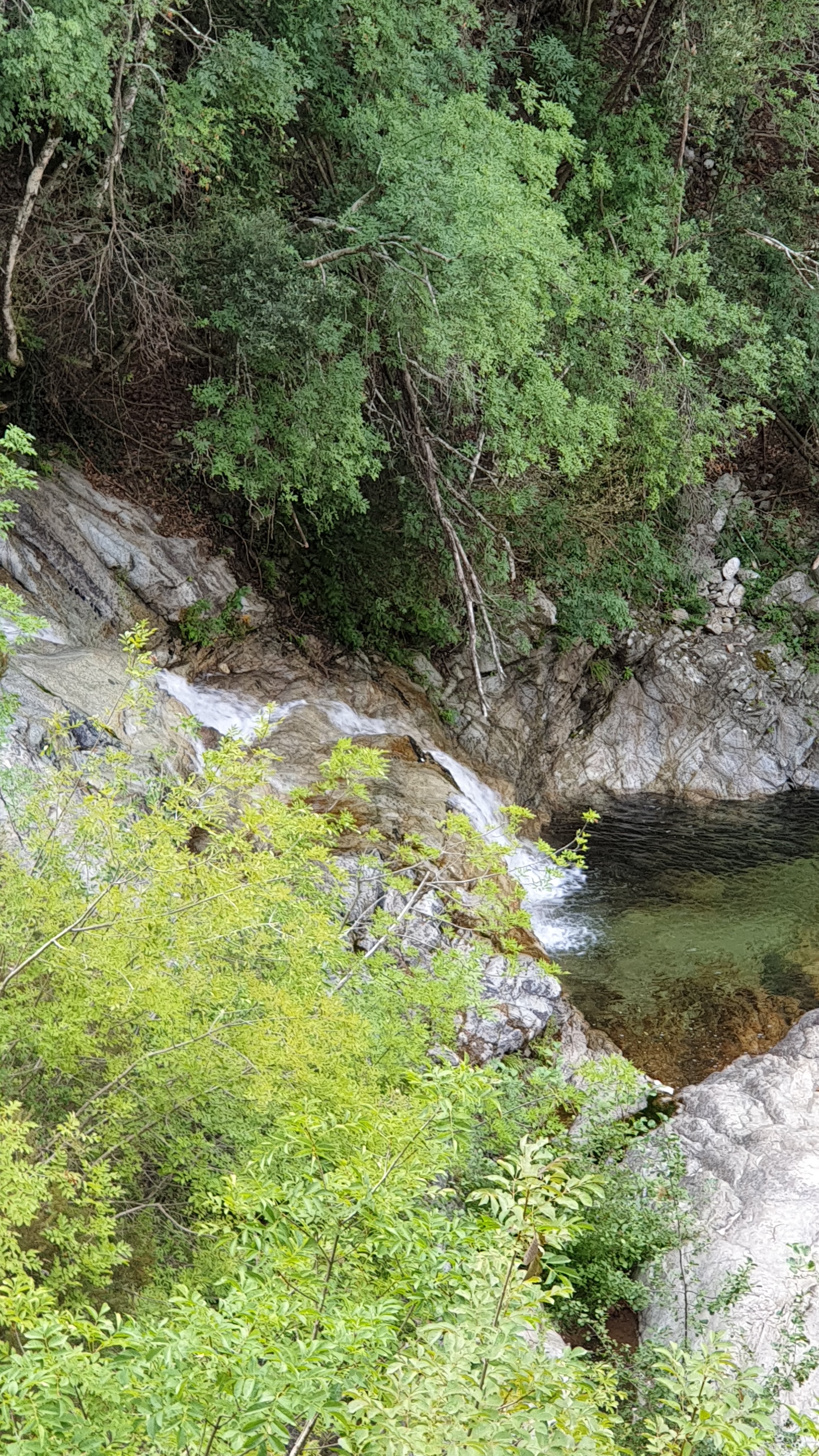 Photo n° 20 de l'avis de Patrice. fait le 19/09/2019 à 16:12