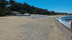 Camlik Camp beach'in fotoğrafı düz ve uzun ile birlikte