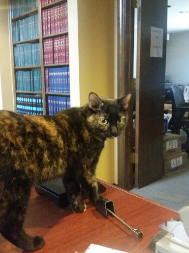 Attorney «Glen R. Graham, Attorney At Law», reviews and photos