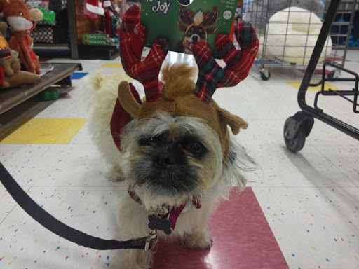 Pet Supply Store «Petco Animal Supplies», reviews and photos, 855 E Bidwell St, Folsom, CA 95630, USA