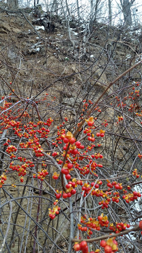 Night Club «The Smokestack», reviews and photos, 62 E 7th St, Dubuque, IA 52001, USA