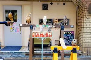 猛禽類カフェ raptorland Shovel image