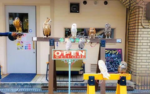 猛禽類カフェ raptorland Shovel image