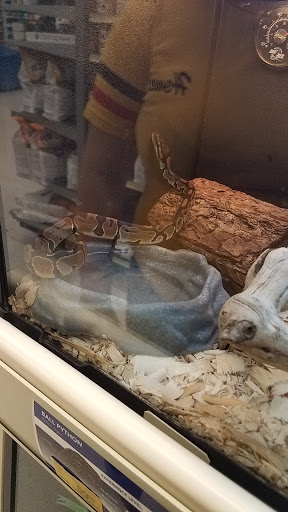 Pet Supply Store «PetSmart», reviews and photos, 5 Main St, East Hartford, CT 06118, USA