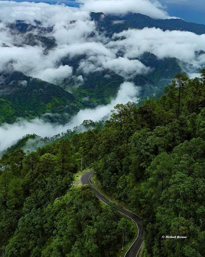 Travel Agency «Sunita Travel Agency LLC», reviews and photos, 129-02 Liberty Ave, South Richmond Hill, NY 11419, USA