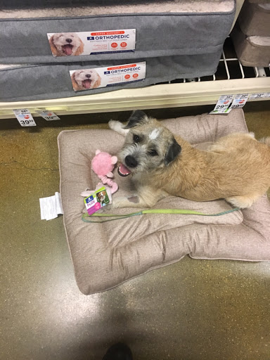 Pet Supply Store «PetSmart», reviews and photos, 8852 Washington Blvd, Pico Rivera, CA 90660, USA