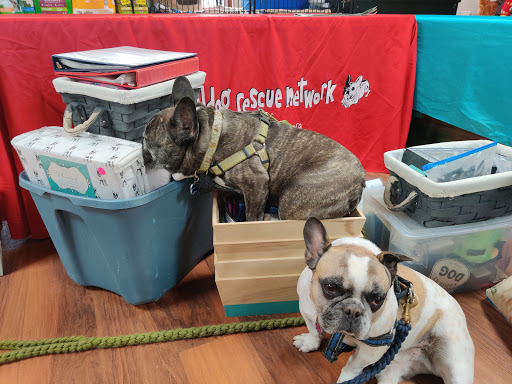 Pet Store «Pet Valu», reviews and photos, 1465 W Broad St, Quakertown, PA 18951, USA