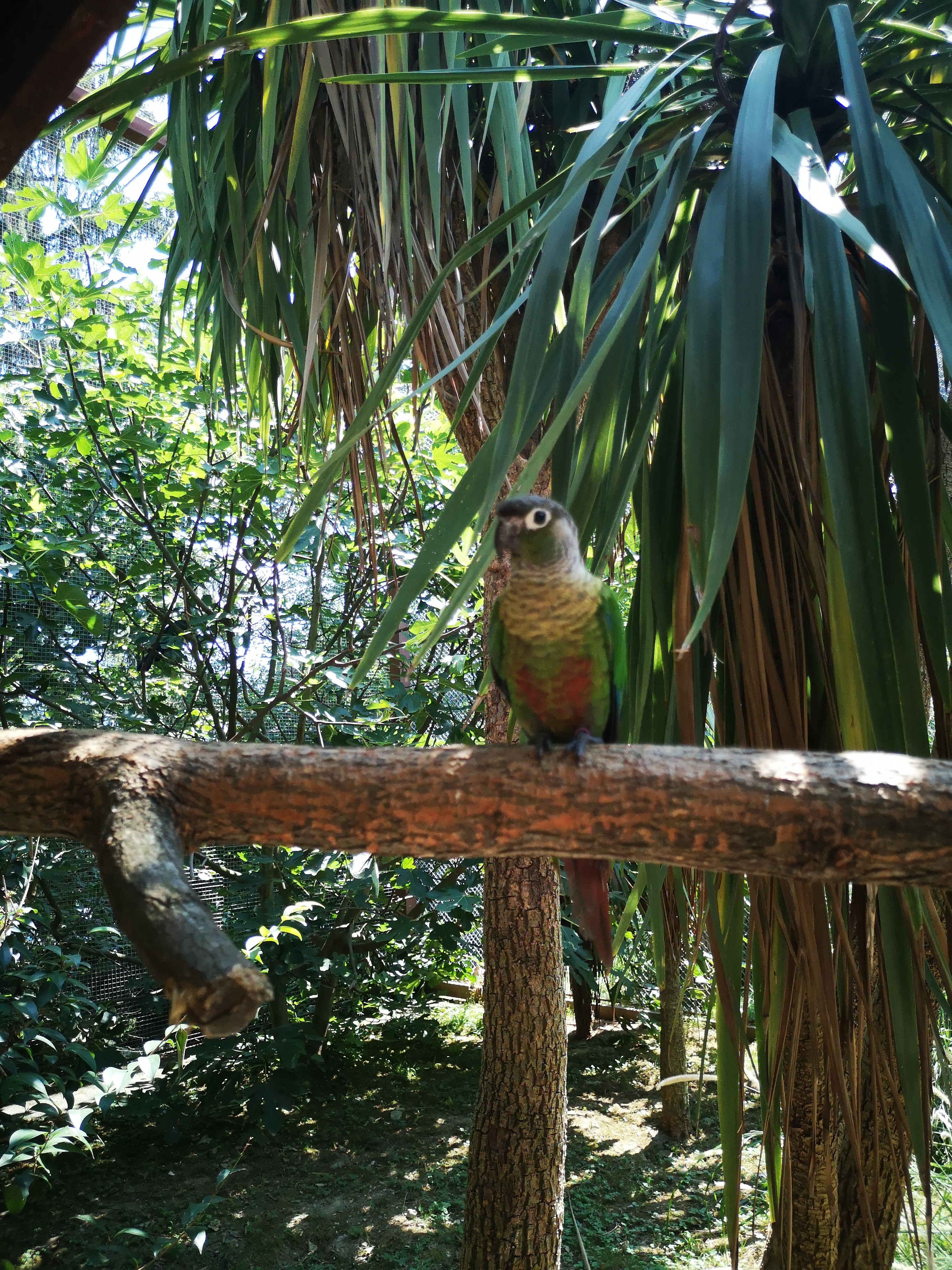 Photo n° 20 de l'avis de Léonie. fait le 26/08/2023 à 20:22
