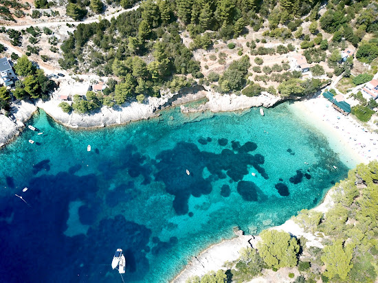 Bacva Beach