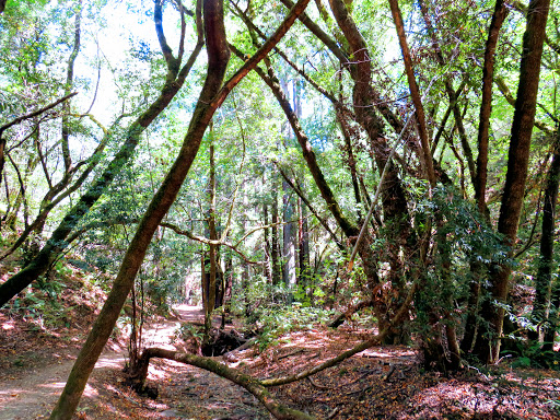 Baltimore Canyon Preserve