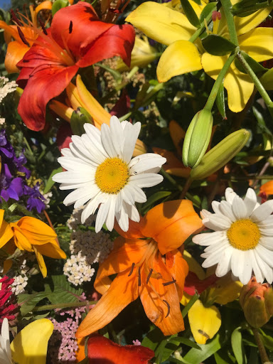 Orchard «Hurd Orchards», reviews and photos, 17260 W Ridge Rd, Holley, NY 14470, USA