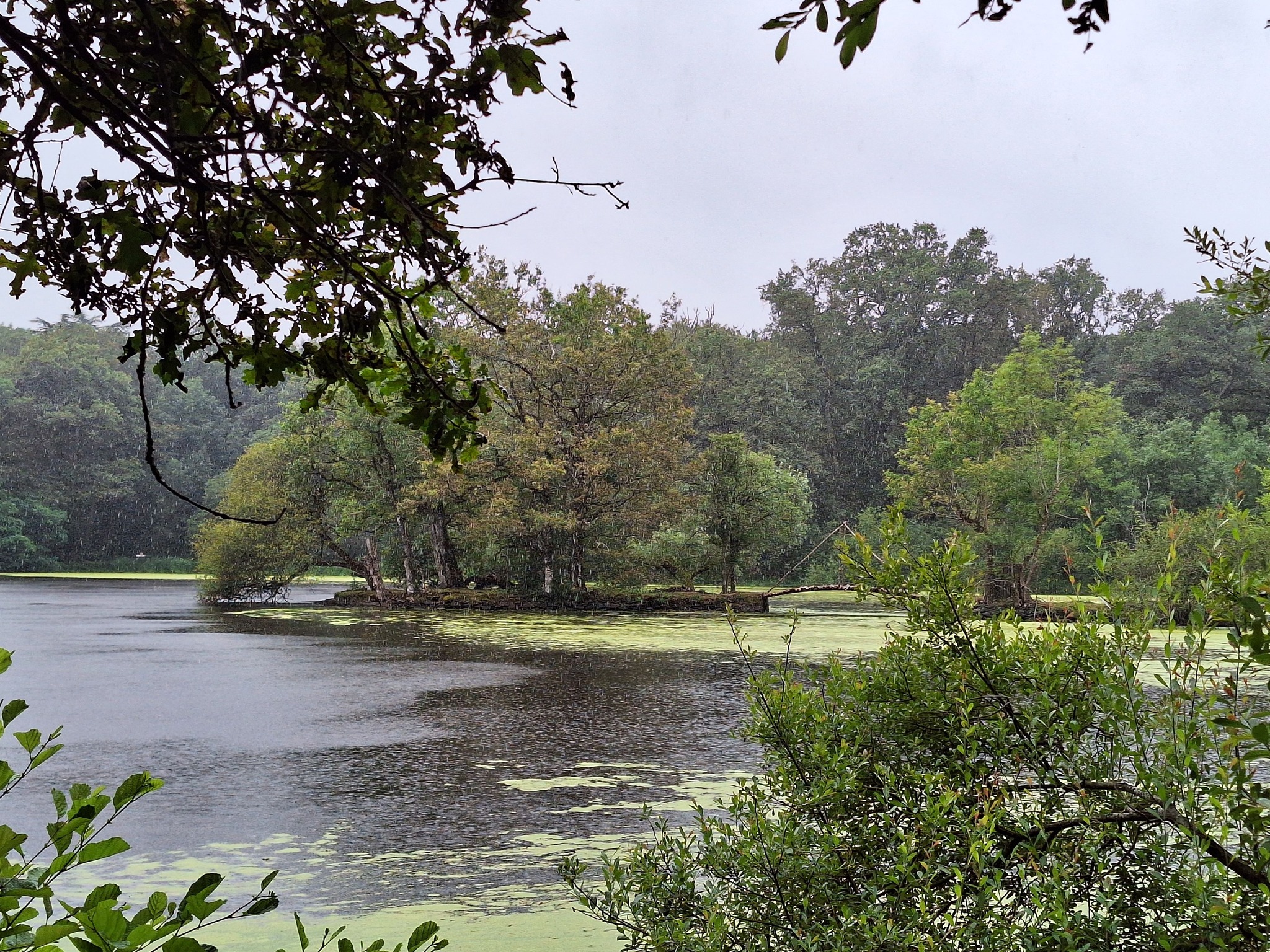 Photo n° 4 de l'avis de Yvan. fait le 18/07/2023 à 15:03