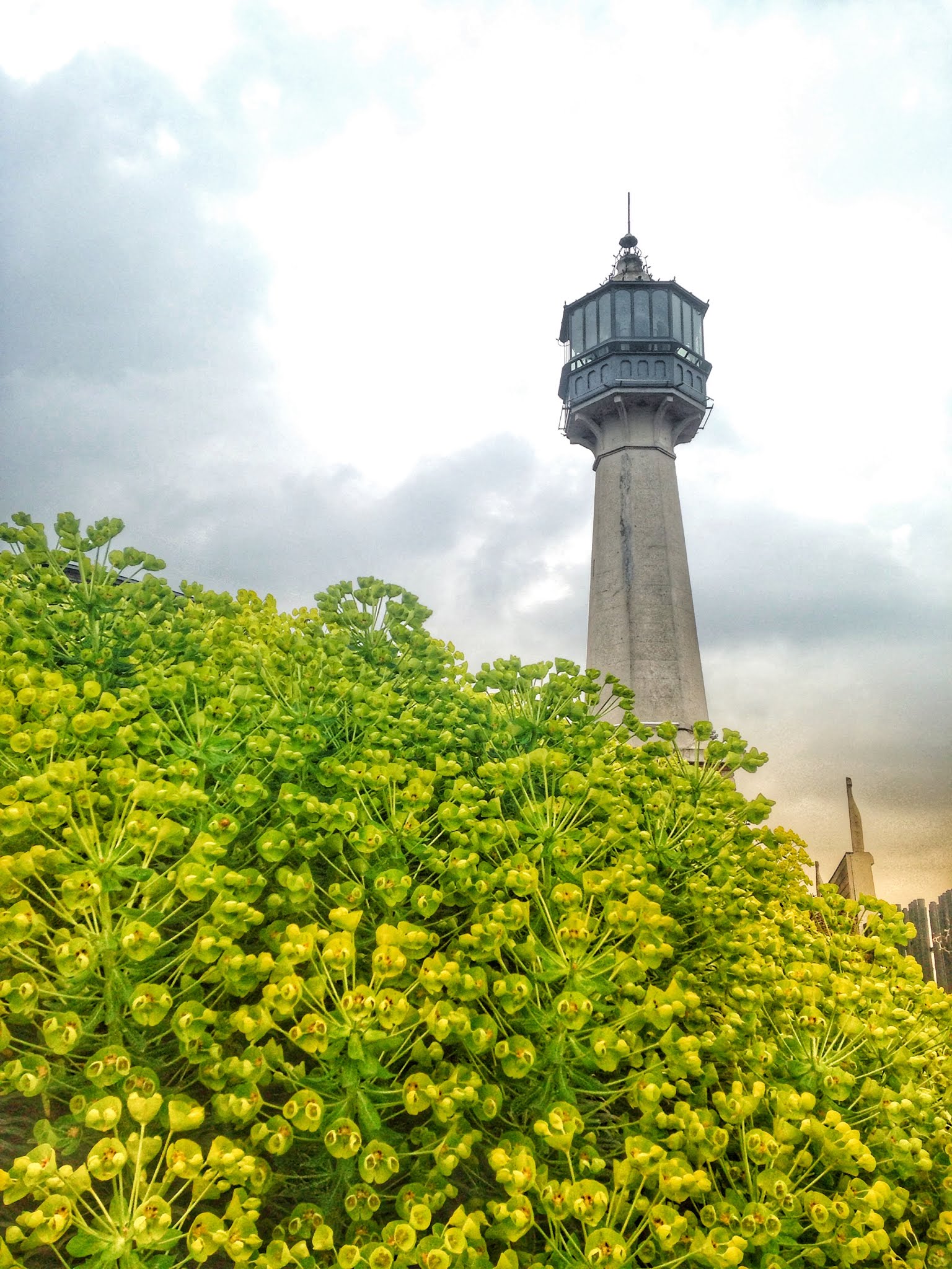 Photo n° 3 de l'avis de Olivier.i fait le 12/04/2019 à 10:39